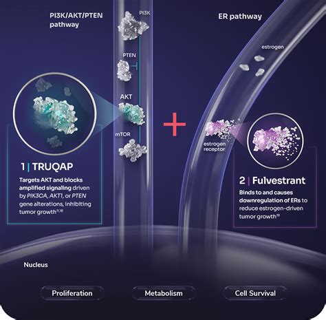 truqap moa|Capivasertib .